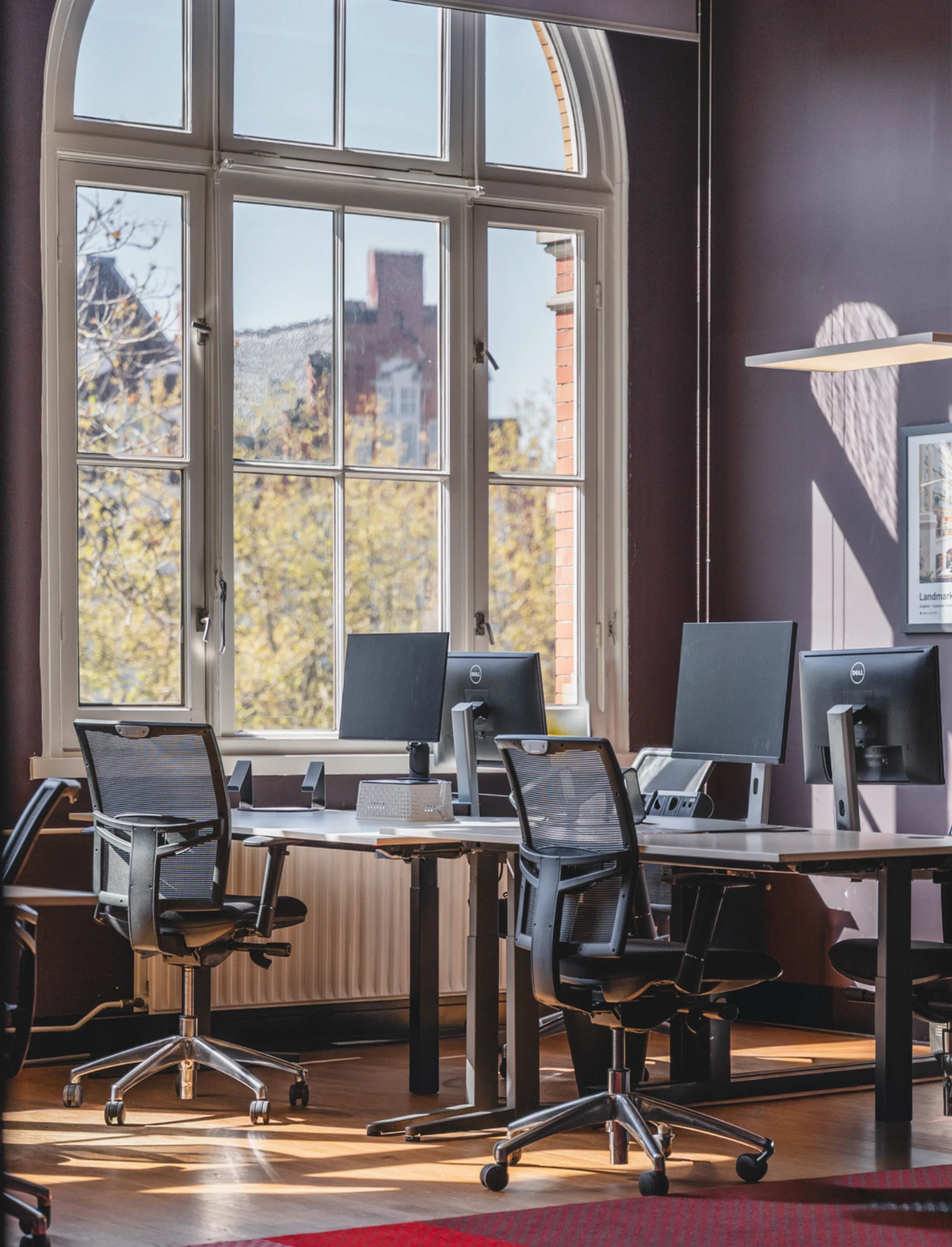 Tribes private offices